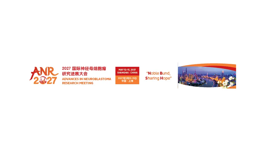 ANR 2027 紧凑网页横幅预览